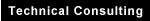 Technical Consulting